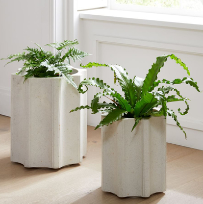 Maceta y plantador plásticos de Rotomoulding con servicio del OEM