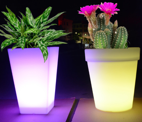Maceta y plantador plásticos de Rotomoulding con servicio del OEM