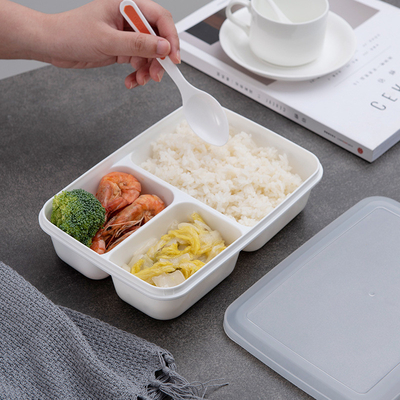 Eco BPA amistoso PP libres Bento Lunch Box For Kids plástico