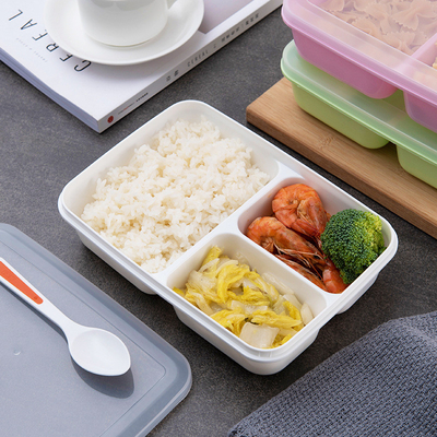 Recipientes plásticos reutilizables del almuerzo de los niños, BPA Bento Lunch Box libre
