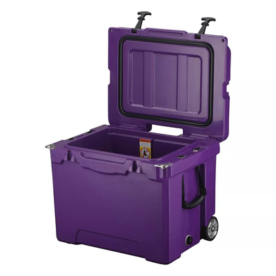 Sistema de la caja del refrigerador de los productos de Rotomoulded de la cadena fría para la vacuna de los pescados